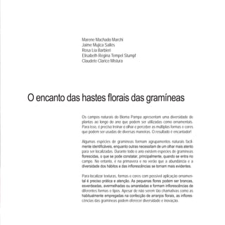 Marene Machado Marchi
Jaime Mujica Sallés
Rosa Lía Barbieri
Elisabeth Regina Tempel Stumpf
Claudete Clarice Mistura
Os campos naturais do Bioma Pampa apresentam uma diversidade de
plantas ao longo do ano que podem ser utilizadas como ornamentais.
Para isso, é preciso treinar o olhar e perceber as múltiplas formas e cores
que podem ser usadas de diversas maneiras. O resultado é encantador!
Algumas espécies de gramíneas formam agrupamentos naturais facil-
para ser localizadas. Durante todo o ano existem espécies de gramíneas
campo. No entanto, é na primavera e no verão que a abundância e a
Para localizar texturas, formas e cores com possível aplicação ornamen-
diferentes formas e tipos. Apesar de não serem tão chamativas como as
-
cências das gramíneas podem oferecer diversidade e inovação.
 