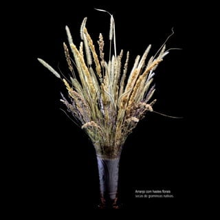 152
CoreseformasdoBiomaPampa
Gramíneasornamentaisnativas
Arranjo com hastes florais
secas de gramíneas nativas.
 