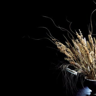 154
CoreseformasdoBiomaPampa
Gramíneasornamentaisnativas
 