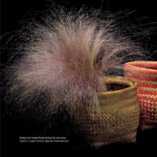 Arranjo com hastes florais frescas de uma única
espécie, o capim-mimoso (Agrostis montevidensis).
 