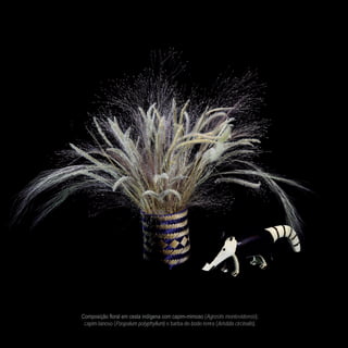 158
CoreseformasdoBiomaPampa
Gramíneasornamentaisnativas
- Agrostis montevidensis),
capim-lanoso (Paspalum polyphyllum) e barba-de-bode-tenra (Aristida circinalis).
 