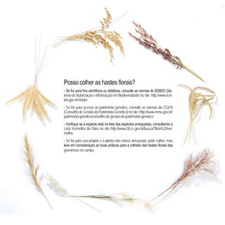 166
CoreseformasdoBiomaPampa
Gramíneasornamentaisnativas
- -
tema de Autorização e Informação em Biodiversidade) no site: http://www.icm-
bio.gov.br/sisbio/.
- Se for para acesso ao patrimônio genético, consulte as normas do CGEN
(ConselhodeGestãodoPatrimônioGenético)nosite:http://www.mma.gov.br/
patrimonio-genetico/conselho-de-gestao-do-patrimonio-genetico;
-
Lista Vermelha da Flora no site http://www.fzb.rs.gov.br/busca/?lista%20ver-
melha.
- Se for para uso próprio e a planta não estiver ameaçada, pode colher, mas
gramíneas no campo.
 