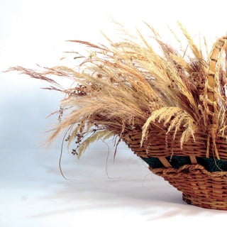 168
CoreseformasdoBiomaPampa
Gramíneasornamentaisnativas
 