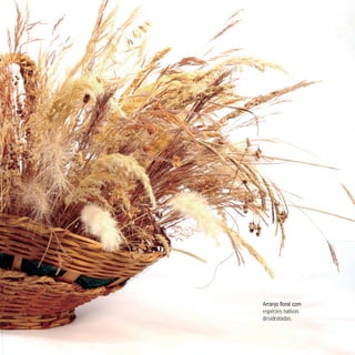 espécies nativas
desidratadas.
 