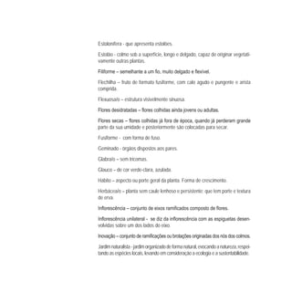 Estolonífera - que apresenta estolões.
Estolão - colmo sob a superfície, longo e delgado, capaz de originar vegetati-
vamente outras plantas.
Flechilha – fruto de formato fusiforme, com calo agudo e pungente e arista
comprida.
Flexuosa/o – estrutura visivelmente sinuosa.
parte da sua umidade e posteriormente são colocadas para secar.
Fusiforme - com forma de fuso.
Geminado - órgãos dispostos aos pares.
Glabra/o – sem tricomas.
Glauco – de cor verde-clara, azulada.
Hábito – aspecto ou porte geral da planta. Forma de crescimento.
Herbácea/o – planta sem caule lenhoso e persistente; que tem porte e textura
de erva.
- -
volvidas sobre um dos lados do eixo.
Jardimnaturalista-jardimorganizadodeformanatural,evocandoanatureza,respei-
tando as espécies locais, levando em consideração a ecologia e a sustentabilidade.
 