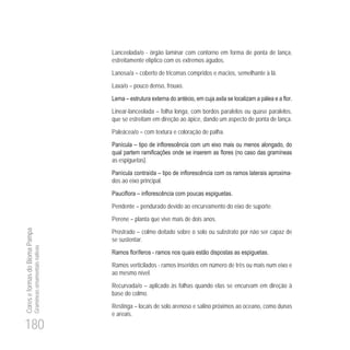 180
CoreseformasdoBiomaPampa
Gramíneasornamentaisnativas
Lanceolada/o - órgão laminar com contorno em forma de ponta de lança,
estreitamente elíptico com os extremos agudos.
Lanosa/a – coberto de tricomas compridos e macios, semelhante à lã.
Laxa/o – pouco denso, frouxo.
Linear-lanceolada – folha longa, com bordos paralelos ou quase paralelos,
que se estreitam em direção ao ápice, dando um aspecto de ponta de lança.
Paleácea/o – com textura e coloração de palha.
as espiguetas).
-
dos ao eixo principal.
Pendente – pendurado devido ao encurvamento do eixo de suporte.
Perene – planta que vive mais de dois anos.
Prostrado – colmo deitado sobre o solo ou substrato por não ser capaz de
se sustentar.
-
Ramos verticilados - ramos inseridos em número de três ou mais num eixo e
ao mesmo nível.
Recurvada/o – aplicado às folhas quando elas se encurvam em direção à
base do colmo.
Restinga – locais de solo arenoso e salino próximos ao oceano, como dunas
e areais.
 