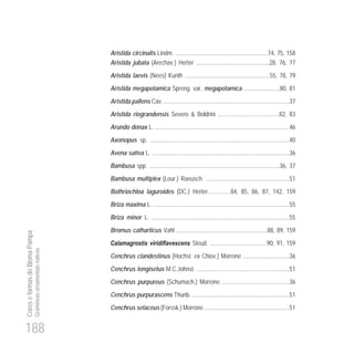 188
CoreseformasdoBiomaPampa
Gramíneasornamentaisnativas
Aristida circinalis Lindm. ..............................................................74, 75, 158
Aristida jubata (Arechav.) Herter .................................................28, 76, 77
Aristida laevis (Nees) Kunth .........................................................55, 78, 79
Aristida megapotamica Spreng. var. megapotamica ........................80, 81
Aristida pallens Cav. ....................................................................................37
Aristida riograndensis Severo & Boldrini .........................................82, 83
Arundo donax L. ..........................................................................................46
Axonopus sp. .............................................................................................40
Avena sativa L. ............................................................................................36
Bambusa spp. .......................................................................................36, 37
Bambusa multiplex (Lour.) Raeusch. ........................................................51
Bothriochloa laguroides (DC.) Herter……….…84, 85, 86, 87, 142, 159
Briza maxima L. ...........................................................................................55
Briza minor L. ............................................................................................55
Bromus catharticus Vahl .............................................................88, 89, 159
Calamagrostis viridiflavescens Steud. ......................................90, 91, 159
Cenchrus clandestinus (Hochst. ex Chiov.) Morrone ...............................36
Cenchrus longisetus M.C.Johnst. ..............................................................51
Cenchrus purpureus (Schumach.) Morrone .............................................36
Cenchrus purpurascens Thunb. .................................................................51
Cenchrus setaceus (Forssk.) Morrone .........................................................51
 