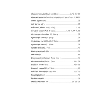 Chascolytrum subaristatum (Lam.) Desv. ...........................55, 92, 93, 159
Chascolytrumuniolae(Nees)Essi,Longhi-Wagner&Souza-Chies...21,94,95
Chloris gayana Kunth ..................................................................................36
Coix lacryma-jobi L. ...................................................................................37
Coleataenia prionitis (Nees) Soreng ....................................................37, 51
Cortaderia selloana Asch. & Graebn. ........................37, 43, 96, 97, 98, 99
Chrysopogon zizanioides (L.) Roberty ..................................................37
Cymbopogon citratus (DC.) Stapf ............................................................. 37
Cymbopogon martini (Roxb.) J.F.Watson .................................................37
Cymbopogon nardus (L.) Rendle ..............................................................37
Cynodon dactylon (L.) Pers .......................................................................40
Digitaria horizontalis Willd. ........................................................................36
Dracaena spp. .............................................................................................55
Drepanostachyum falcatum (Nees) Keng f. ...........................................46
Elionurus muticus (Spreng.) Kuntze ………......….…………………100, 101
Eragrostis airoides Nees ..................................................................102, 103
Eragrostis curvula (Schrad.) Nees .............................................................46
Eustachys distichophylla (Lag.) Nees .............................................104, 105
Festuca glauca Lam. ...................................................................................46
Hordeum vulgare L. .....................................................................................36
Imperata brasiliensis Trin. ............................................................37, 106, 107
 