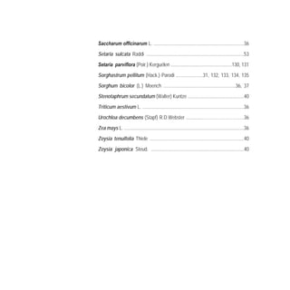 Saccharum officinarum L. ..........................................................................36
Setaria sulcata Raddi ................................................................................53
Setaria parviflora (Poir.) Kerguélen ..................................................130, 131
Sorghastrum pellitum (Hack.) Parodi ......................31, 132, 133, 134, 135
Sorghum bicolor (L.) Moench ...........................................................36, 37
Stenotaphrum secundatum (Walter) Kuntze ..............................................40
Triticum aestivum L. ...................................................................................36
Urochloa decumbens (Stapf) R.D.Webster ..............……………………….36
Zea mays L. ..................................................................................................36
Zoysia tenuifolia Thiele .............................................................................40
Zoysia japonica Steud. ............................................................................40
 