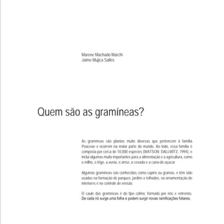 Marene Machado Marchi
Jaime Mujica Sallés
Quem são as gramíneas?
As gramíneas são plantas muito diversas que pertencem à família
Poaceae e ocorrem na maior parte do mundo. Ao todo, essa família é
composta por cerca de 10.000 espécies (WATSON; DALLWITZ, 1994), e
inclui algumas muito importantes para a alimentação e a agricultura, como
o milho, o trigo, a aveia, o arroz, a cevada e a cana-de-açúcar.
Algumas gramíneas são conhecidas como capins ou gramas, e têm sido
usadas na formação de parques, jardins e telhados, na ornamentação de
interiores e no controle de erosão.
O caule das gramíneas é do tipo colmo, formado por nós e entrenós.
 