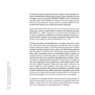 24
CoreseformasdoBiomaPampa
Gramíneasornamentaisnativas
-
978 -
cias apresentam várias tonalidades ao longo das diferentes estações do ano,
com tons de verde, paleáceas, rosadas, vináceas ou brancas (MARCHI, 2014).
Podem apresentar ciclo de vida curto, de um só ano (espécies anuais) ou de
(BOLDRINI et al., 2008). O período de crescimento preferencial pode dar-se
-
cando no verão (espécies estivais) (ROSENGURTT et al., 1970).
-
nho, é bem diverso. Existe uma ampla gama de combinações entre as espécies
quanto à arquitetura das plantas; umas formam moitas de grande porte com folhas
laxas (ou abertas) e de diversas cores; outras formam moitas arredondadas com
exemplo.As formas de crescimento podem ser cespitoso-ereta (quando os entre-
-
do touceiras); cespitoso-decumbente (quando os colmos crescem encostados ao
- -
rescência); estolonífera (quando os colmos aéreos são rasteiros, enraízam-se nos
nós em contato com o solo, originando-se novas partes aéreas em cada nó - es-
de reservas). As espécies que apresentam essa última forma de crescimento são
mais fáceis de propagar, uma vez que dos nós partem raízes e novas plantas.
As gramíneas se propagam tanto por sementes (forma sexual) quanto por di-
visão de touceira (forma assexual). As gramíneas são polinizadas pelo vento.
Abelhas e outros insetos têm sido observados alimentando-se do seu pólen,
mas a sua contribuição para a polinização parece ser pequena.
 