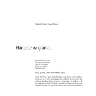 Elisabeth Regina Tempel Stumpf
Não pise na grama...
Arroz quentinho no prato
Cheiro de grama cortada
Caldo de cana gelado
Chá de erva-cidreira
Casinha de sapê
Arroz, grama, cana, erva-cidreira, sapê.
De tão diferentes, é quase inacreditável que essas plantas tenham qualquer
parentesco, mas o fato é que todas pertencem à família das gramíneas. Nor-
malmente, quando se fala em gramíneas, a imagem que vem à cabeça é a de
um simples campo verde. Entretanto, essa não é uma imagem justa para uma
família botânica que está presente em quase todos os ecossistemas da Terra
 