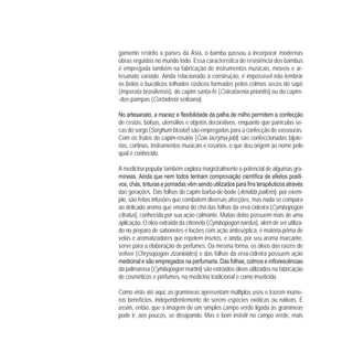 gamente restrito a países da Ásia, o bambu passou a incorporar modernas
obras erguidas no mundo todo. Essa característica de resistência dos bambus
é empregada também na fabricação de instrumentos musicais, móveis e ar-
tesanato variado. Ainda relacionado à construção, é impossível não lembrar
os belos e bucólicos telhados rústicos formados pelos colmos secos do sapê
(Imperata brasiliensis), do capim santa-fé (Coleataenia prionitis) ou do capim-
-dos-pampas (Cortaderia selloana).
de cestas, bolsas, utensílios e objetos decorativos, enquanto que panículas se-
cas do sorgo (Sorghum bicolor) são empregadas para a confecção de vassouras.
Com os frutos do capim-rosário (Coix lacryma-jobi) são confeccionadas bijute-
rias, cortinas, instrumentos musicais e rosários, o que deu origem ao nome pelo
qual é conhecido.
A medicina popular também explora magistralmente o potencial de algumas gra-
-
das gerações. Das folhas do capim barba-de-bode (Aristida pallens), por exem-
plo, são feitas infusões que combatem diversas afecções, mas nada se compara
ao delicado aroma que emana do chá das folhas da erva-cidreira (Cymbopogon
citratus), conhecida por sua ação calmante. Muitas delas possuem mais de uma
aplicação. O óleo extraído da citronela (Cymbopogon nardus), além de ser utiliza-
do no preparo de sabonetes e loções com ação antisséptica, é matéria-prima de
velas e aromatizadores que repelem insetos, e ainda, por seu aroma marcante,
serve para a elaboração de perfumes. Da mesma forma, os óleos das raízes de
vetiver (Chrysopogon zizanioides) e das folhas da erva-cidreira possuem ação
da palmarosa (Cymbopogon martini) são extraídos óleos utilizados na fabricação
de cosméticos e perfumes, na medicina tradicional e como inseticida.
Como visto até aqui, as gramíneas apresentam múltiplos usos e trazem inúme-
ros benefícios, independentemente de serem espécies exóticas ou nativas. É
assim, então, que a imagem de um simples campo verde ligada às gramíneas
pode ir, aos poucos, se dissipando. Mas é bom insistir no campo verde, mais
 