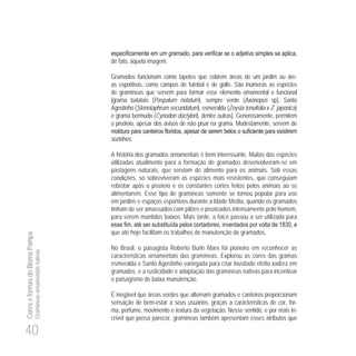 40
CoreseformasdoBiomaPampa
Gramíneasornamentaisnativas
de fato, àquela imagem.
Gramados funcionam como tapetes que cobrem áreas de um jardim ou áre-
as esportivas, como campos de futebol e de golfe. São inúmeras as espécies
de gramíneas que servem para formar esse elemento ornamental e funcional
[grama batatais (Paspalum notatum), sempre verde (Axonopus sp), Santo
Agostinho (Stenotaphrum secundatum), esmeralda (Zoysia tenuifolia x Z. japonica)
e grama bermuda (Cynodon dactylon), dentre outras]. Generosamente, permitem
o pisoteio, apesar dos avisos de não pisar na grama. Modestamente, servem de
sozinhos.
A história dos gramados ornamentais é bem interessante. Muitas das espécies
utilizadas atualmente para a formação de gramados desenvolveram-se em
pastagens naturais, que serviam de alimento para os animais. Sob essas
condições, só sobreviveram as espécies mais resistentes, que conseguiam
rebrotar após o pisoteio e os constantes cortes feitos pelos animais ao se
alimentarem. Esse tipo de gramíneas somente se tornou popular para uso
em jardins e espaços esportivos durante a Idade Média, quando os gramados
tinham de ser amassados com pilões e pisoteados intensamente pelo homem,
para serem mantidos baixos. Mais tarde, a foice passou a ser utilizada para
830
que até hoje facilitam os trabalhos de manutenção de gramados.
No Brasil, o paisagista Roberto Burle Marx foi pioneiro em reconhecer as
características ornamentais das gramíneas. Explorou as cores das gramas
esmeralda e Santo Agostinho variegada para criar inusitado efeito xadrez em
gramados, e a rusticidade e adaptação das gramíneas nativas para incentivar
o paisagismo de baixa manutenção.
É inegável que áreas verdes que alternam gramados e canteiros proporcionam
sensação de bem-estar a seus usuários, graças a características de cor, for-
ma, perfume, movimento e textura da vegetação. Nesse sentido, e por mais in-
crível que possa parecer, gramíneas também apresentam esses atributos que
 