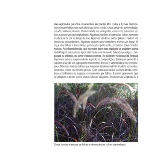 Apresentam folhas nas mais diversas cores: verde, cinza, amarelo, avermelhado,
rosado, violáceo, bronze. Podem ainda ser variegadas, com cores que criam es-
trias transversais ou longitudinais. Algumas mantêm a coloração, outras mostram
mudanças na cor ao longo do ano. Algumas são lisas, outras pilosas. Podem ser
eretas ou decumbentes. Algumas exalam surpreendentes aromas ao toque. O
roçar das folhas e dos colmos, provocados pelo vento, produzem sons caracte-
da folhagem, nascem no ápice das hastes na forma de delicadas espigas, com-
imprimem novo e surpreendente aspecto às composições. Balançam ao vento e
captam a luz do sol, agregando movimento, leveza e luminosidade às composi-
ções. Não raro são os colmos que mostram atrativo evidente. Podem ser verdes,
amarelos, roxos ou mesmo pretos. Com coloração única ou mesclando cores.
Lisos e brilhantes ou rugosos e encobertos por folhas. Existem gramíneas que
se adaptam a locais secos, outras a locais alagados. Resistem ao sol pleno ou à
 