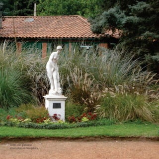 42
CoreseformasdoBiomaPampa
Gramíneasornamentaisnativas
Jardim com gramíneas
ornamentais em área pública.
 