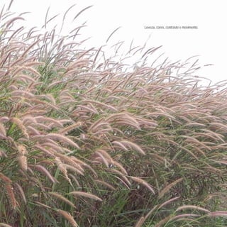 Leveza, cores, contraste e movimento.
 