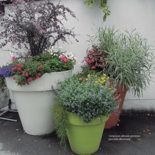 50
CoreseformasdoBiomaPampa
Gramíneasornamentaisnativas
Composição utilizando gramíneas
para efeito diferenciado
 