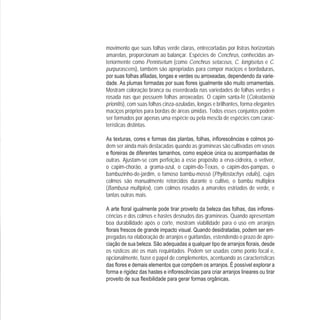 movimento que suas folhas verde claras, entrecortadas por listras horizontais
amarelas, proporcionam ao balançar. Espécies de Cenchrus, conhecidas an-
teriormente como Pennisetum (como Cenchrus setaceus, C. longisetus e C.
purpurascens), também são apropriadas para compor maciços e bordaduras,
-
Mostram coloração branca ou esverdeada nas variedades de folhas verdes e
rosada nas que possuem folhas arroxeadas. O capim santa-fé (Coleataenia
prionitis), com suas folhas cinza-azuladas, longas e brilhantes, forma elegantes
maciços próprios para bordas de áreas úmidas. Todos esses conjuntos podem
ser formados por apenas uma espécie ou pela mescla de espécies com carac-
terísticas distintas.
-
dem ser ainda mais destacadas quando as gramíneas são cultivadas em vasos
outras. Ajustam-se com perfeição a esse propósito a erva-cidreira, o vetiver,
o capim-chorão, a grama-azul, o capim-do-Texas, o capim-dos-pampas, o
bambuzinho-de-jardim, o famoso bambu-mossô (Phyllostachys edulis), cujos
colmos são manualmente retorcidos durante o cultivo, o bambu multiplex
(Bambusa multiplex), com colmos rosados a amarelos estriados de verde, e
tantas outras mais.
-
cências e dos colmos e hastes desnudos das gramíneas. Quando apresentam
boa durabilidade após o corte, mostram viabilidade para o uso em arranjos
-
pregadas na elaboração de arranjos e guirlandas, estendendo o prazo de apre-
os rústicos até os mais requintados. Podem ser usadas como ponto focal e,
opcionalmente, fazer o papel de complementos, acentuando as características
 