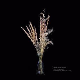 Composição com diferentes
espécies de gramíneas,
expondo também a beleza das hastes.
 