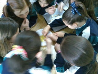 Aceite de Oliva - Alumnos de 3º a 6º EP - Abril
2016
 
