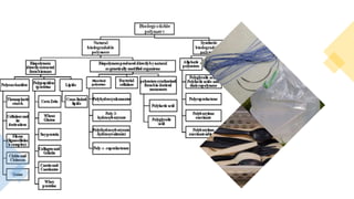 Biodegradable polymers
