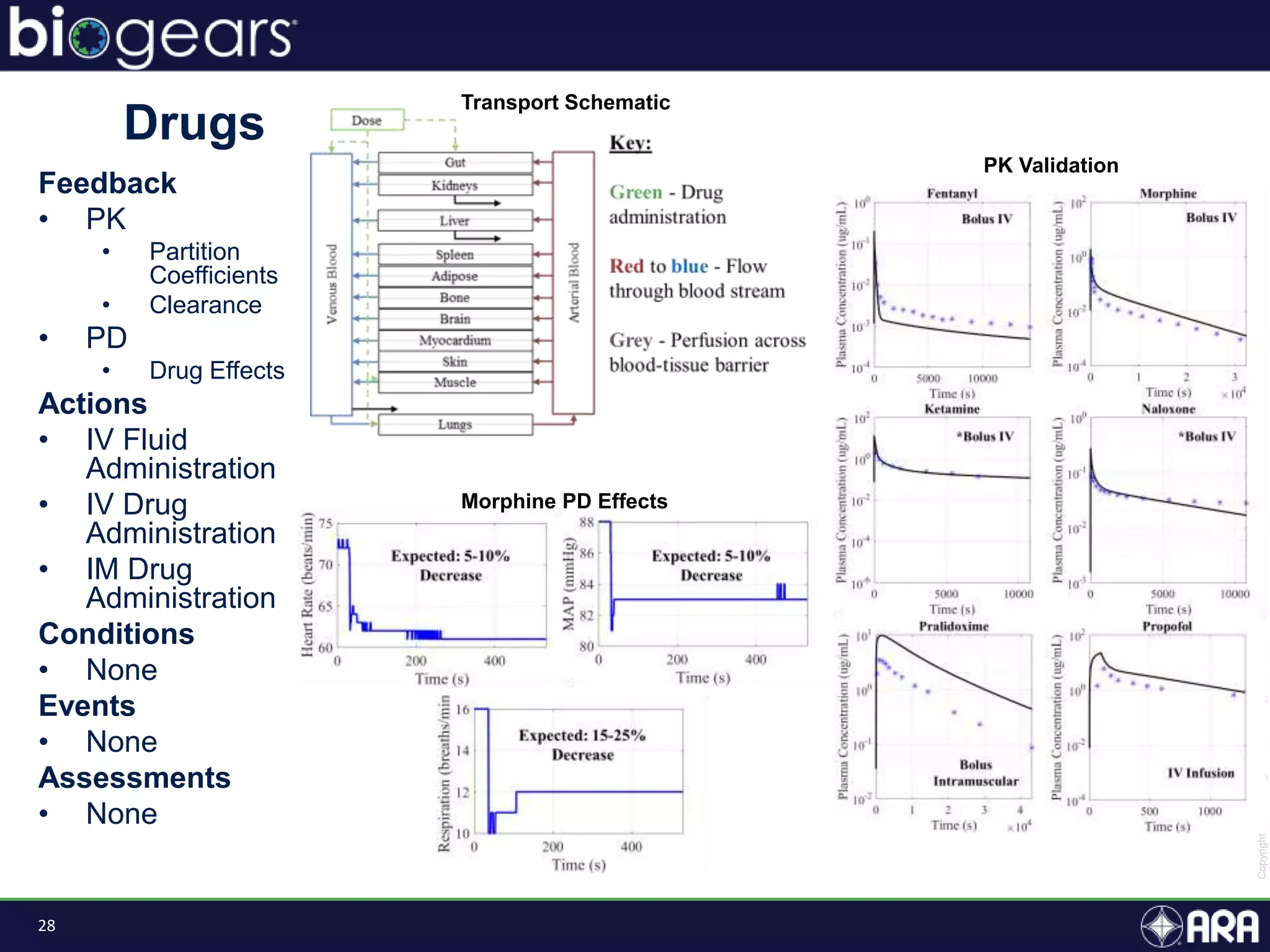 28
Feedback
• PK
• Partition
Coefficients
• Clearance
• PD
• Drug Effects
Actions
• IV Fluid
Administration
• IV Drug
Administration
• IM Drug
Administration
Conditions
• None
Events
• None
Assessments
• None
Drugs
Transport Schematic
Morphine PD Effects
PK Validation
 