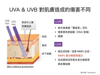 UVB
UVA
 