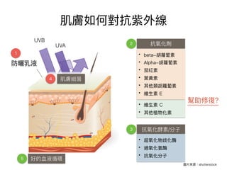 UVB
UVA
/
?
 