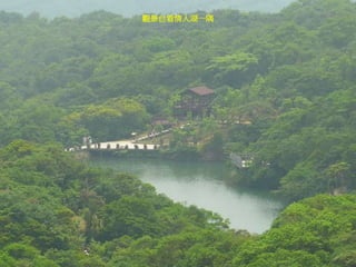 觀景台看情人湖一隅
 