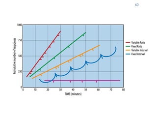 Prof. Pier Luca Lanzi
60
 