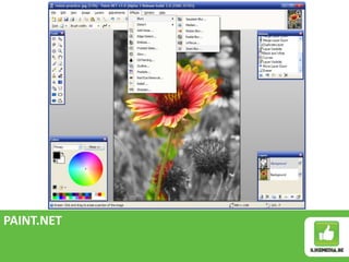 PAINT.NET
 