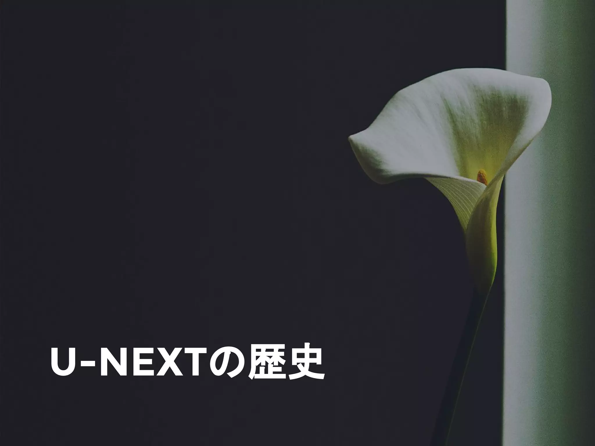 U-NEXTの歴史
 