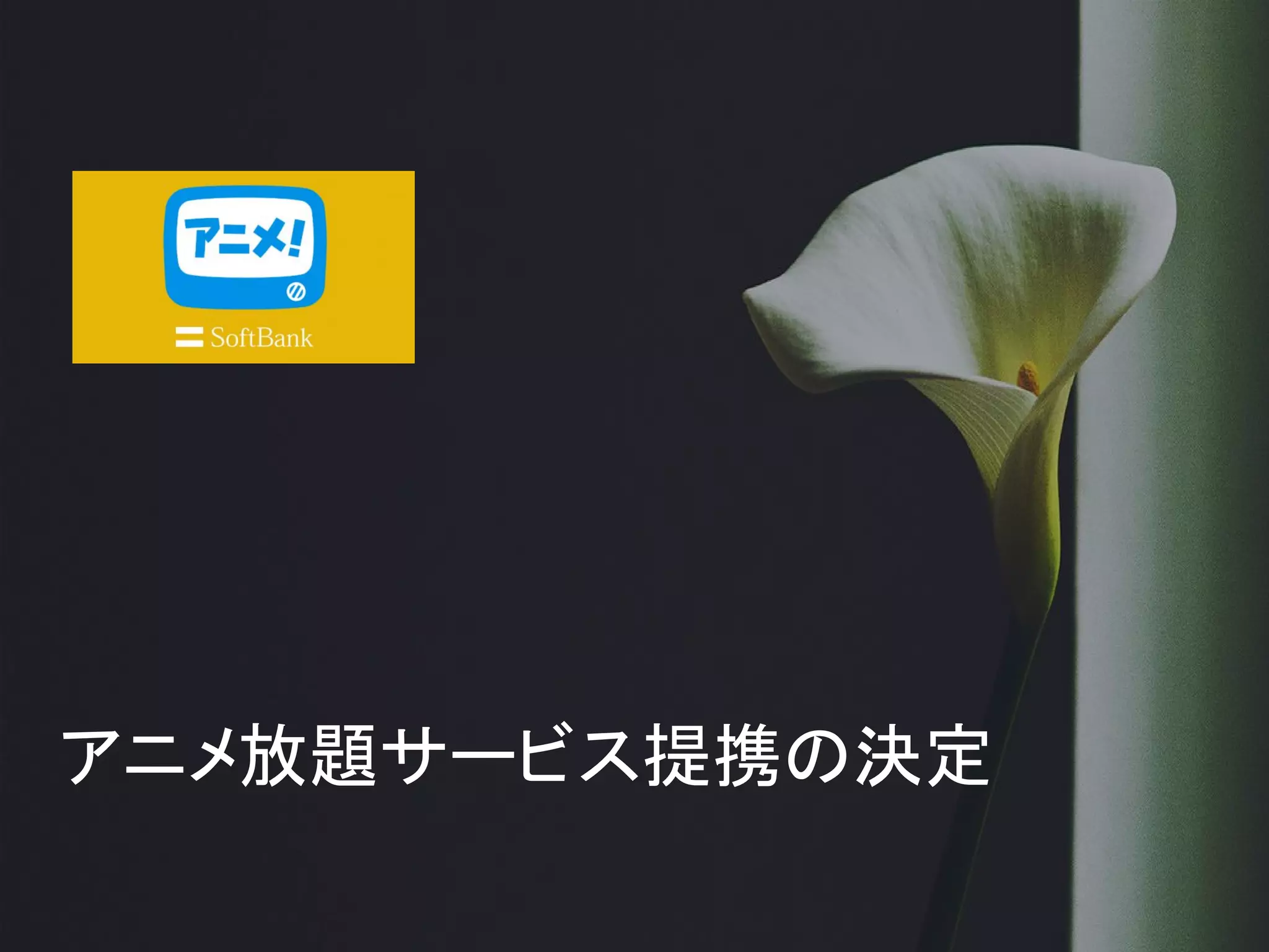アニメ放題サービス提携の決定
 