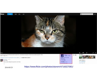 2016/05/25 https://www.flickr.com/photos/storem/4716027081/
 