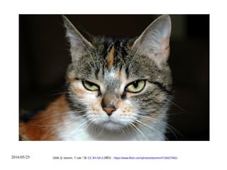 2016/05/25 2006 storem, ''I rule.''Ⓒ 採 CC BY-SA 2.0釋出 : https://www.flickr.com/photos/storem/4716027081/
 