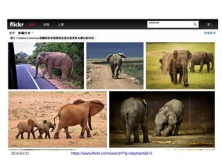 2016/05/25 https://www.flickr.com/search/?q=elephant&l=2
 