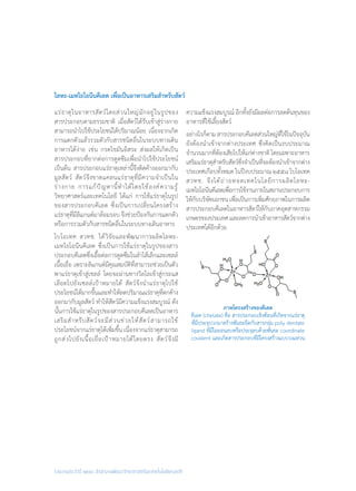 รายงานประจำ�ปี ๒๕๕๘ สำ�นักงานพัฒนาวิทยาศาสตร์และเทคโนโลยีแห่งชาติ
โลหะ-เมทไธโอนีนคีเลต เพื่อเป็นอาหารเสริมส�ำหรับสัตว์
แร่ธาตุในอาหารสัตว์โดยส่วนใหญ่มักอยู่ในรูปของ
สารประกอบตามธรรมชาติ เมื่อสัตว์ได้รับเข้าสู่ร่างกาย
สามารถน�ำไปใช้ประโยชน์ได้ปริมาณน้อย เนื่องจากเกิด
การแตกตัวแล้วรวมตัวกับสารชนิดอื่นในระบบทางเดิน
อาหารได้ง่าย เช่น กรดไขมันอิสระ ส่งผลให้เกิดเป็น
สารประกอบที่ยากต่อการดูดซึมเพื่อน�ำไปใช้ประโยชน์
เป็นต้น สารประกอบแร่ธาตุเหล่านี้จึงติดค้างออกมากับ
มูลสัตว์ สัตว์จึงขาดแคลนแร่ธาตุที่มีความจ�ำเป็นใน
ร่างกาย การแก้ปัญหานี้ท�ำได้โดยใช้องค์ความรู้
วิทยาศาสตร์และเทคโนโลยี ได้แก่ การใช้แร่ธาตุในรูป
ของสารประกอบคีเลต ซึ่งเป็นการเปลี่ยนโครงสร้าง
แร่ธาตุที่มีลิแกนด์มาล้อมรอบ จึงช่วยป้องกันการแตกตัว
หรือการรวมตัวกับสารชนิดอื่นในระบบทางเดินอาหาร
ไบโอเทค สวทช. ได้วิจัยและพัฒนาการผลิตโลหะ-
เมทไธโอนีนคีเลต ซึ่งเป็นการใช้แร่ธาตุในรูปของสาร
ประกอบคีเลตซึ่งเอื้อต่อการดูดซึมในล�ำไส้เล็กและเซลล์
เนื้อเยื่อ เพราะลิแกนด์มีคุณสมบัติที่สามารถช่วยเป็นตัว
พาแร่ธาตุเข้าสู่เชลล์ โดยจะผ่านทางวิลไลเข้าสู่กระแส
เลือดไปยังเซลล์เป้าหมายได้ สัตว์จึงน�ำแร่ธาตุไปใช้
ประโยชน์ได้มากขึ้นและท�ำให้ลดปริมาณแร่ธาตุที่ตกค้าง
ออกมากับมูลสัตว์ ท�ำให้สัตว์มีความแข็งแรงสมบูรณ์ ดัง
นั้นการใช้แร่ธาตุในรูปของสารประกอบคีเลตเป็นอาหาร
เสริมส�ำหรับสัตว์จะมีส่วนช่วยให้สัตว์สามารถใช้
ประโยชน์จากแร่ธาตุได้เพิ่มขึ้น เนื่องจากแร่ธาตุสามารถ
ถูกส่งไปยังเนื้อเยื่อเป้าหมายได้โดยตรง สัตว์จึงมี
ความแข็งแรงสมบูรณ์ อีกทั้งยังมีผลต่อการลดต้นทุนของ
อาหารที่ใช้เลี้ยงสัตว์
อย่างไรก็ตาม สารประกอบคีเลตส่วนใหญ่ที่ใช้ในปัจจุบัน
ยังต้องน�ำเข้าจากต่างประเทศ ซึ่งคิดเป็นงบประมาณ
จ�ำนวนมากที่ต้องเสียไปให้แก่ต่างชาติ โดยเฉพาะอาหาร
เสริมแร่ธาตุส�ำหรับสัตว์ซึ่งจ�ำเป็นที่จะต้องน�ำเข้าจากต่าง
ประเทศเกือบทั้งหมด ในปีงบประมาณ ๒๕๕๘ ไบโอเทค
สวทช. จึงได้ถ่ายทอดเทคโนโลยีการผลิตโลหะ-
เมทไธโอนีนคีเลตเพื่อการใช้งานภายในสถานประกอบการ
ให้กับบริษัทเอกชน เพื่อเป็นการเพิ่มศักยภาพในการผลิต
สารประกอบคีเลตในอาหารสัตว์ให้กับภาคอุตสาหกรรม
เกษตรของประเทศและลดการน�ำเข้าอาหารสัตว์จากต่าง
ประเทศได้อีกด้วย
ภาพโครงสร้างของคีเลต
คีเลต (chelate) คือ สารประกอบเชิงซ้อนที่เกิดจากแร่ธาตุ
ที่มีประจุบวกมาสร้างพันธะยึดกับสารกลุ่ม poly dentate
ligand ที่มีไอออนลบหรือประจุลบด้วยพันธะ coordinate
covalent และเกิดสารประกอบที่มีโครงสร้างแบบวงแหวน
 