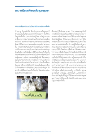 รายงานประจำ�ปี ๒๕๕๘ สำ�นักงานพัฒนาวิทยาศาสตร์และเทคโนโลยีแห่งชาติ
การผลิตเชื้อราบิวเวอเรียโดยใช้ข้าวสารเป็นสารตั้งต้น
ผลงานวิจัยและพัฒนาเพื่อชุมชนชนบท
บ้านนาคู อ�ำเภอผักไห่ จังหวัดพระนครศรีอยุธยา มี
ลักษณะเป็นพื้นที่ราบลุ่มสลับกับพื้นที่ลุ่มมาก พื้นที่ส่วน
ใหญ่เป็นพื้นที่นา ประชากรในหมู่บ้านส่วนใหญ่ประกอบ
อาชีพเกษตรกรรม โดยจะท�ำนาเป็นหลักแบบต่อเนื่อง
ระยะยาว ไม่มีการตัดวงจรการเข้าท�ำลายของแมลงศัตรู
พืชท�ำให้เกิดการระบาดของเพลี้ยกระโดดสีน�้ำตาลมาก
ขึ้น การใช้สารชีวภัณฑ์เพื่อก�ำจัดศัตรูพืชแทนการใช้สาร
เคมีเป็นกระแสการยอมรับของสังคมและช่วยลดต้นทุน
ด้านปัจจัยการผลิต ดังนั้นการใช้เชื้อราบิวเวอเรียป้องกัน
ก�ำจัดเพลี้ยกระโดดสีน�้ำตาลจึงเป็นอีกทางเลือกหนึ่ง ที่
จะช่วยลดความเสียหายของผลผลิตข้าวได้ ซึ่งเกษตรกร
ในพื้นที่นาคูบางส่วนท�ำการผลิตเชื้อราบิวเวอเรียเพื่อ
ป้องกันเพลี้ยกระโดดสีน�้ำตาลในนาข้าวโดยเลี้ยงเชื้อรา
ในถุงพลาสติกระบบปิดโดยใช้ข้าวโพดเป็นวัสดุเพาะเลี้ยง
ในการผลิตดังกล่าวยังไม่มีระบบตรวจสอบมาตรฐาน จึง
ท�ำให้การใช้เชื้อราบิวเวอเรียป้องกันก�ำจัดเพลี้ยกระโดด
มีประสิทธิภาพไม่สูงมากนัก
ด้วยเหตุนี้ ไบโอเทค สวทช. จึงถ่ายทอดเทคโนโลยี
การผลิตเชื้อราบิวเวอเรียโดยใช้ข้าวสารเป็นสารตั้งต้นซึ่ง
จากผลการศึกษาวิจัยพบว่าการใช้ข้าวสารเป็นวัสดุเพาะ
เลี้ยงให้ผลดีที่สุด ท�ำให้เกษตรกรมีความรู้ความเข้าใจใน
การผลิตเชื้อราบิวเวอเรียโดยใช้ข้าวสารเป็นสารตั้งต้น
และสามารถผลิตก้อนเชื้อราบิวเวอเรียไม่น้อยกว่า ๑๐๐
ก้อน เพื่อใช้ในการป้องกันก�ำจัดเพลี้ยกระโดดสีน�้ำตาล
แทนการใช้ข้าวโพดเป็นสารตั้งต้น ท�ำให้เกษตรกรลดค่า
ใช้จ่ายในการซื้อข้าวโพดมาเป็นวัตถุดิบโดยใช้ข้าวสารที่
เกษตรกรสามารถผลิตได้ทดแทน จากการถ่ายทอด
เทคโนโลยีท�ำให้เกษตรกรมีความรู้และความเข้าใจใน
การใช้และผลิตเชื้อราบิวเวอเรียเพิ่มมากขึ้น เกษตรกร
ส่วนใหญ่มีความพอใจและสามารถท�ำการถ่ายเชื้อลงใน
ถุงข้าวสารได้ นอกจากนี้ เกษตรกรสามารถลดภาระ
การผลิตและค่าใช้จ่ายเนื่องจากการผลิตราบิววาเรียโดย
ใช้ข้าวเป็นสารตั้งตั้นจะช่วยลดอัตราการใช้เชื้อราจาก ๒
ถุง ต่อพื้นที่ ๑ ไร่ เป็น ๑ ถุงต่อพื้นที่ ๑๐ ไร่ อีกทั้ง ยัง
เป็นการใช้วัตถุดิบที่มีอยู่แล้วให้เกิดประโยชน์อย่างสูงสุด
และช่วยลดการใช้สารเคมี ส่งผลให้เกษตรกรและชุมชน
มีคุณภาพชีวิตที่ดีขึ้น
 