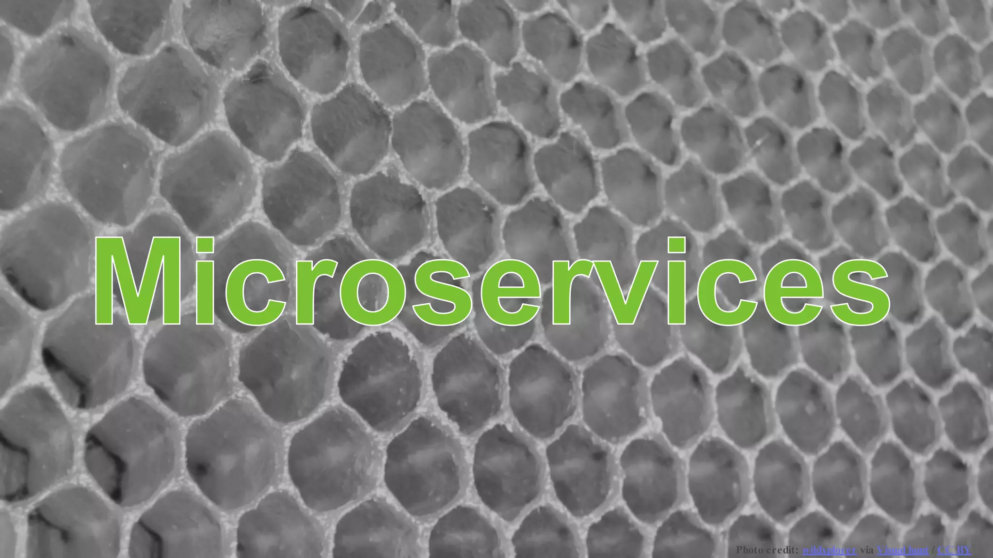 Photo credit: wildxplorer via Visual hunt / CC BY
 