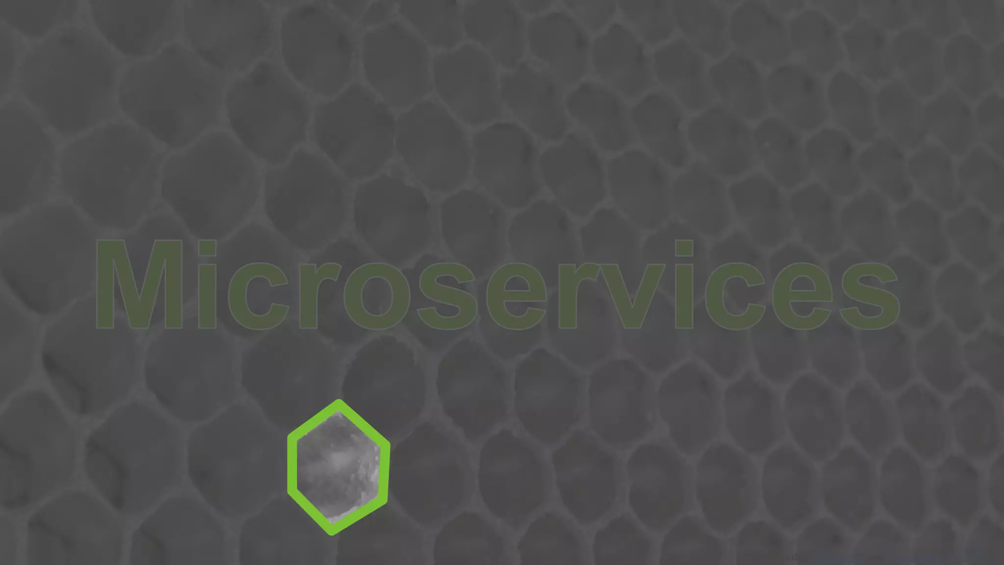 Photo credit: wildxplorer via Visual hunt / CC BY
 