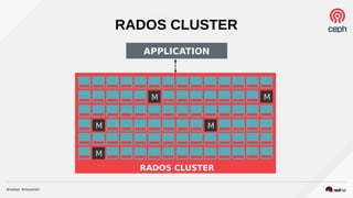 CEPHRADOS CLUSTER
APPLICATION
M M
M M
M
RADOS CLUSTER
 