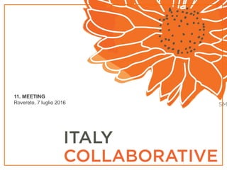 11. MEETING
Rovereto, 7 luglio 2016
 