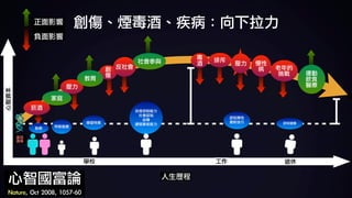 心智資本
人生歷程
學校 工作 退休
胎教 早期發展
學習特質
自我控制能力	
社會認知	
自尊	
讀寫算術能力
認知彈性	
應對技巧 認知儲備
基因	
遺傳
菸酒
壓力
創
傷
反社會
排斥
慢性
病 老年的
挑戰
壓力
家庭
教育
社會參與
運動	
飲食	
醫療
心智國富論	
Nature,	Oct	2008,	1057-60
毒
酒
正面影響	
負面影響
創傷、煙毒酒、疾病：向下拉力
 