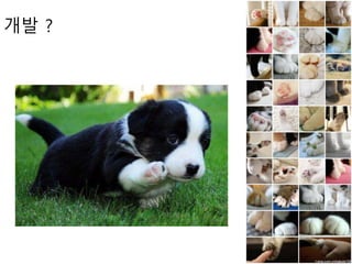 개발 ?
 