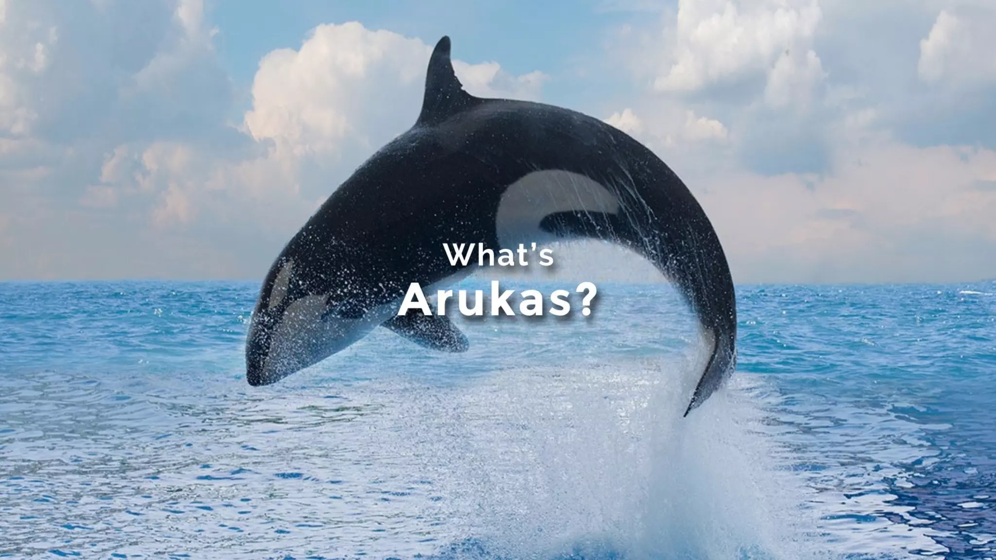 What’s
Arukas?
 
