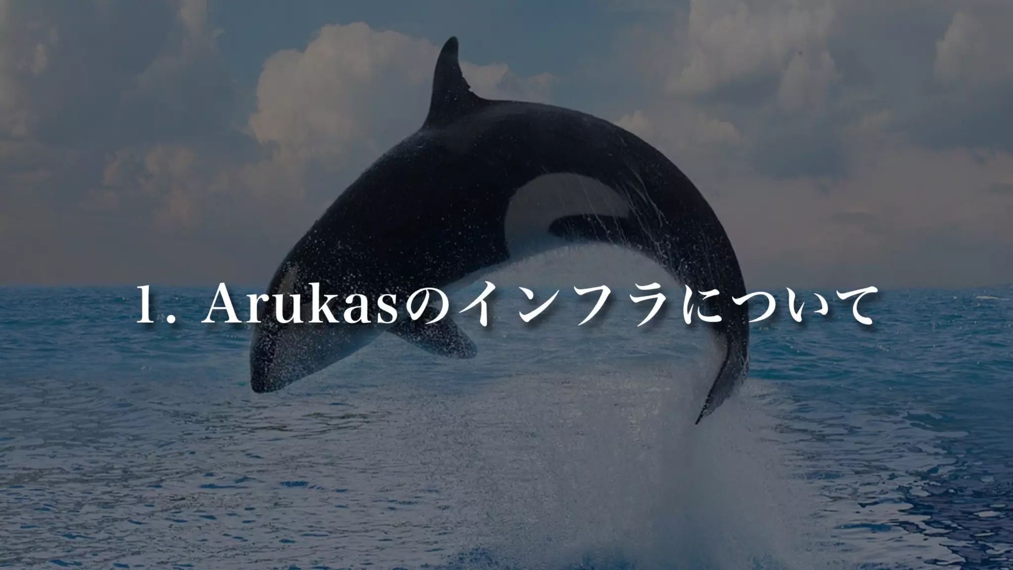 1. Arukasのインフラについて
 