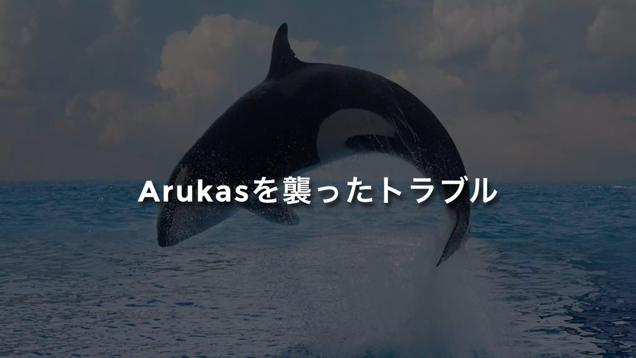 Arukasを襲ったトラブル
 
