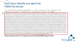 Tips for effective use of BLAST and other NCBI tools | PDF
