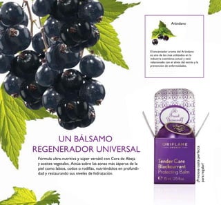 12 ¡Preciosacajitaperfecta
pararegalar!
El encantador aroma del Arándano
es uno de los mas utilizados en la
industria cosmética actual y está
relacionado con el alivio del estrés y la
prevención de enfermedades.
UN BÁLSAMO
REGENERADOR UNIVERSAL
Fórmula ultra-nutritiva y súper versátil con Cera de Abeja
y aceites vegetales. Actúa sobre las zonas más ásperas de la
piel como labios, codos o rodillas, nutriéndolos en profundi-
dad y restaurando sus niveles de hidratación.
Arándano
 